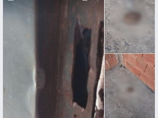 Ladrão tenta furtar cão e defeca no quintal da moradora 