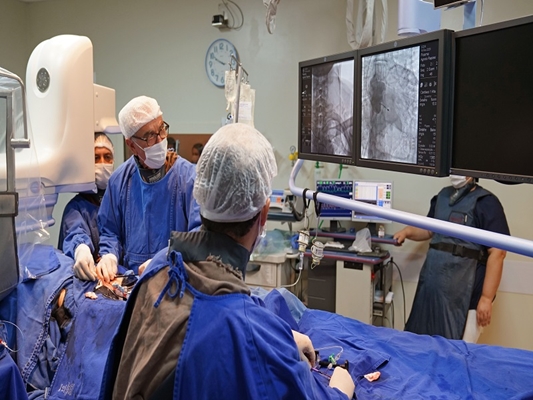 Santa Casa de Votuporanga inova em cirurgia cardíaca