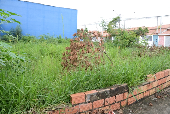 LIMPEZA DE TERRENO - CUIDADO COM AS MULTAS