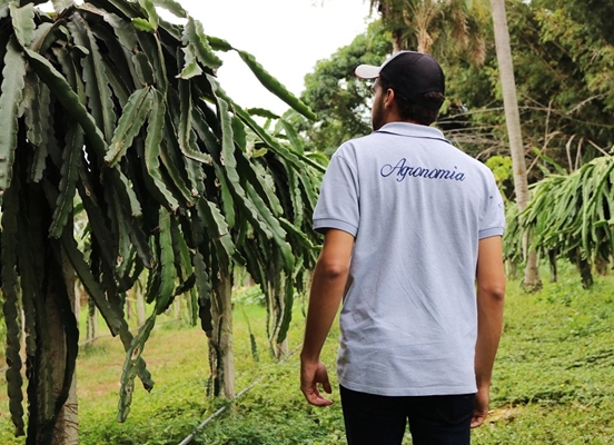 CURSO DE AGRONOMIA DA UNIFEV É RECONHECIDO COM NOTA 4 