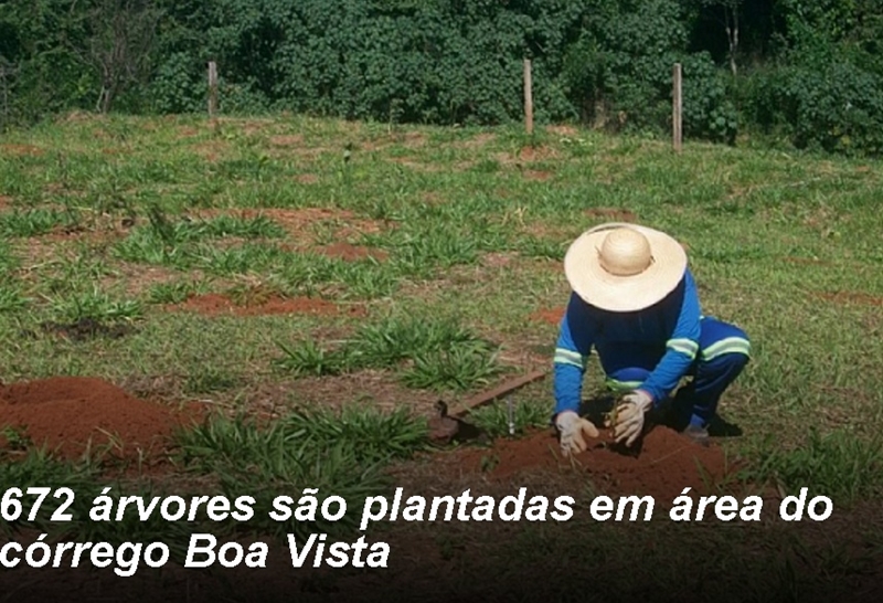 Preservação Ambiental em Votuporanga 