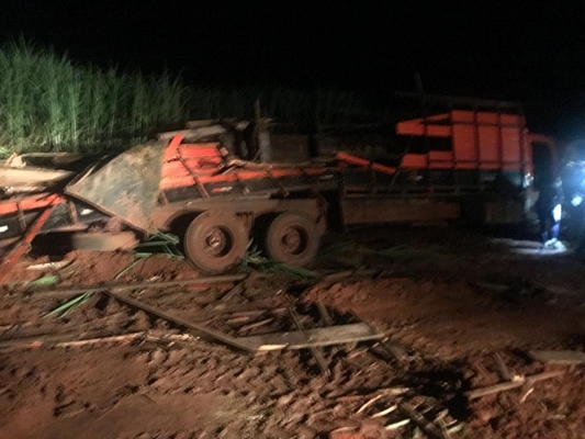 Gado furtado morre após tombamento de caminhão em estrada 
