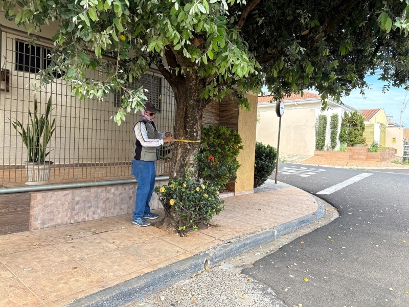 Votuporanga avança no mapeamento da arborização urbana