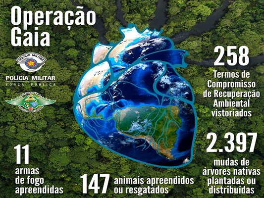 Ação ambiental apreende 147 animais e 11 armas
