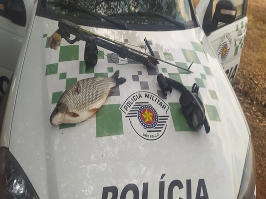 Arma é um tipo de espingarda subaquática 