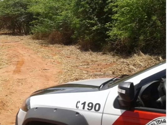 Morador de Votuporanga morre atingido por árvore