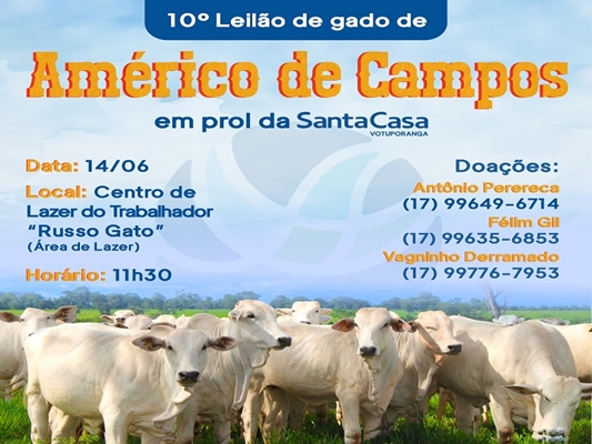 Américo de Campos 10° Leilão para a Santa Casa