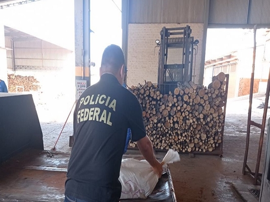 Polícia Federal de Jales incinera 1 tonelada de maconha