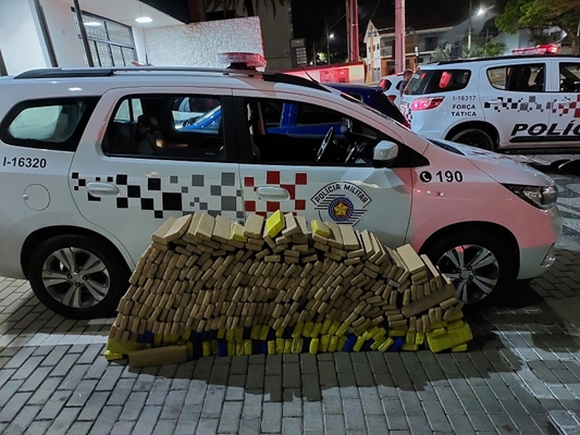 Polícia Militar aprende 301 kg de maconha em Monções