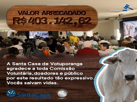Leilão da Santa Casa arrecada mais de R$ 400 mil