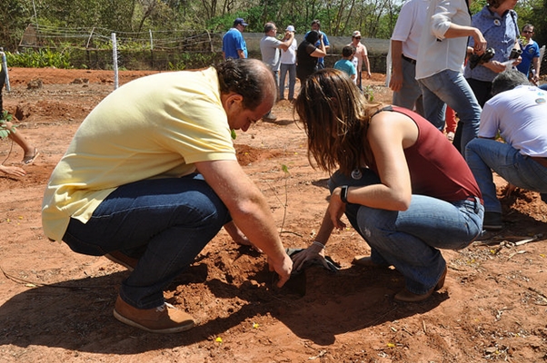 VOTUPORANGA PLANTA PRA COMEMORAR DIA DA ÁRVORE