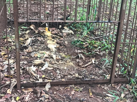 Polícia Ambiental apreende jaula e flagra caçadores 