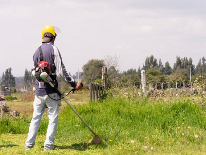 É hora de limpar os terrenos e evitar multa 