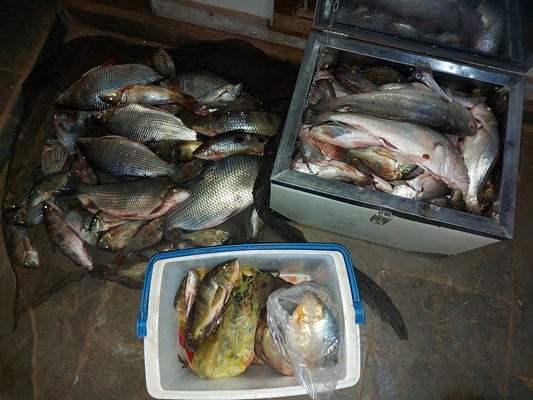 Pescadores acampados em ilha são multados