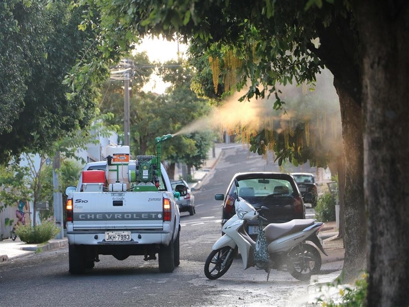 Começa pulverização na zona Sul