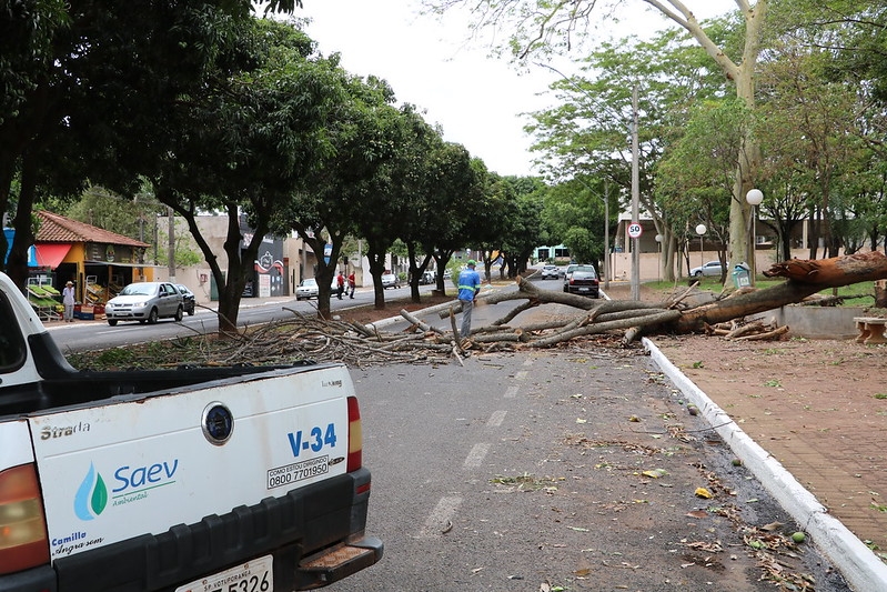 O DIA DA FAXINA PÓS TEMPORAL 