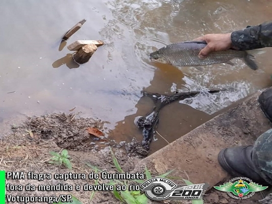 Peixes foram soltos no rio