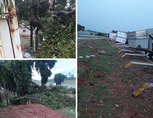 VENDAVAL TOMBA CARRETA E DERRUBA ÁRVORES EM FERNANDÓPOLIS