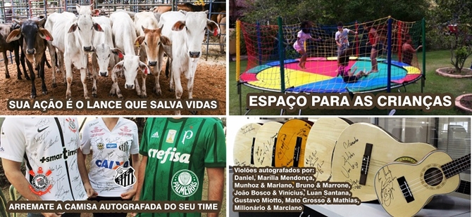 LEILÃO DE GADO DA SANTA CASA NESTE DOMINGO