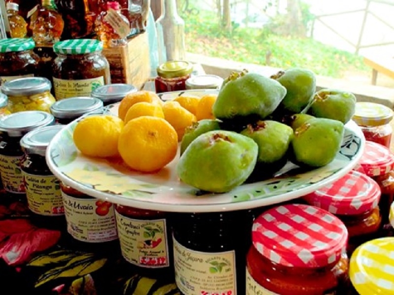 As curiosidades e sabores de sítios agroecológicos
