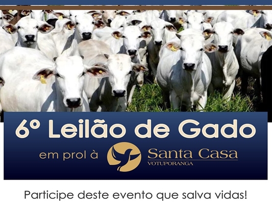 É DOMINGO: LEILÃO DE GADO DA SANTA CASA 