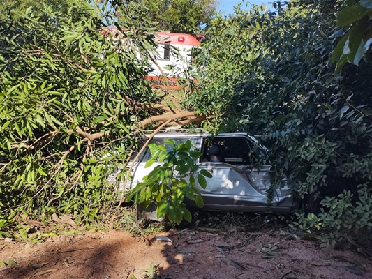 Carro derruba árvore em acidente na vicinal de Valentim Gentil