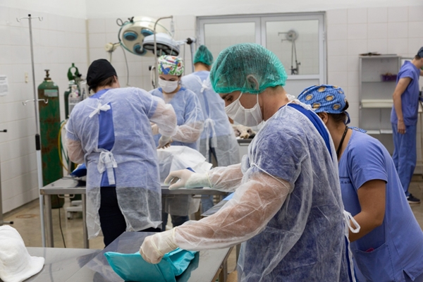 Hospital veterinário em Fernandópolis