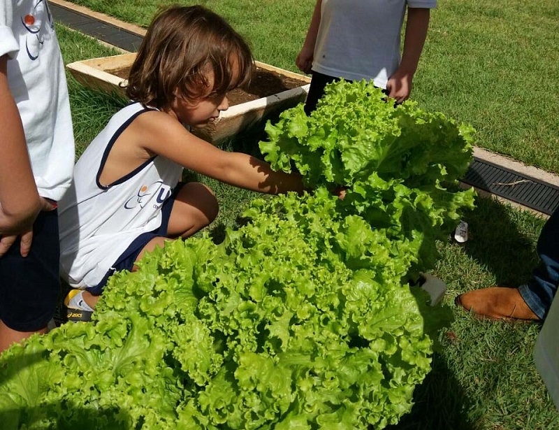 HORTA PRA ALUNOS DA UNIFEV
