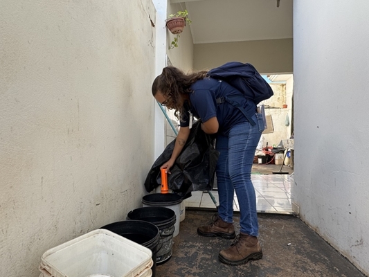 Mutirão contra a Dengue em Votuporanga no bairro Colinas 