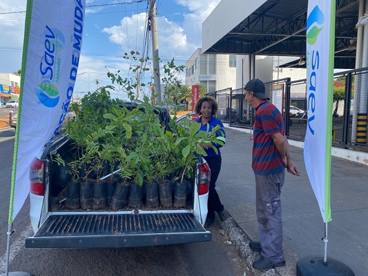 Saev Ambiental faz ações especiais pelo Dia da Árvore