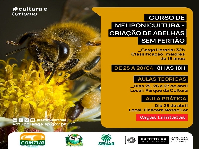 Curso de manejo de abelhas sem ferrão
