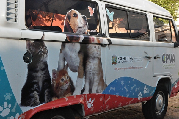 CENTRO DE PROTEÇÃO ANIMAL TIRA CACHORRA DE MAUS-TRATOS