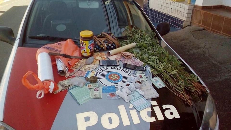 Casal que plantou 67 pés de maconha é preso em Fernandópolis