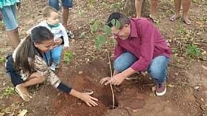 Simonsen recebe 25 novas mudas de árvores 