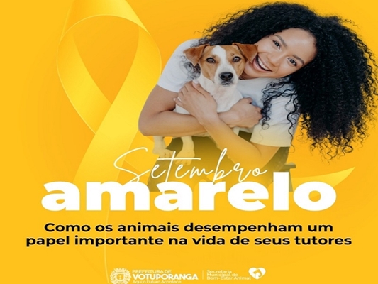 Amor dos animais transforma vidas e fortalece a saúde mental