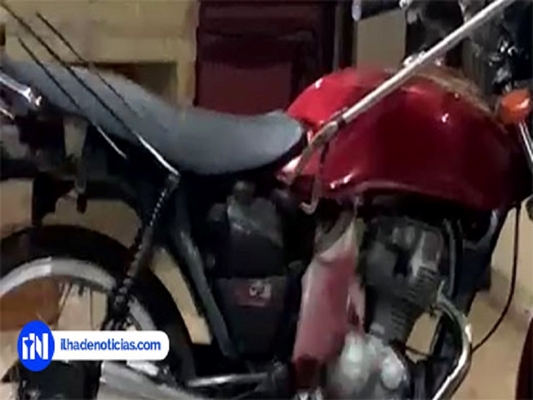 SUSTO: cobra é achada em moto