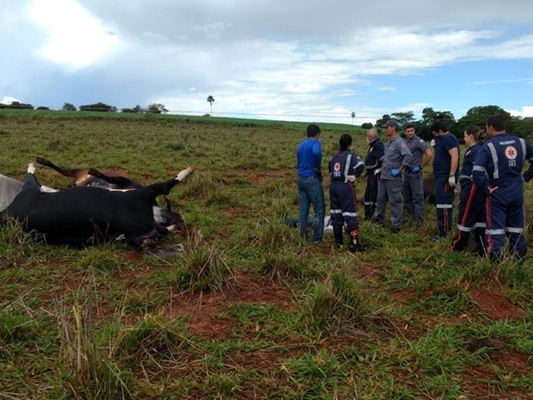 Homem morre eletrocutado ao fotografar gado morto em pasto