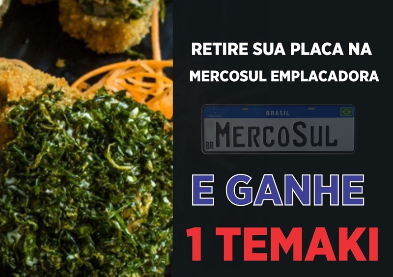 EMPLACADORA MERCOSUL 