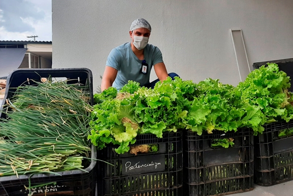 Irmãos de Emaús destina verduras para Santa Casa