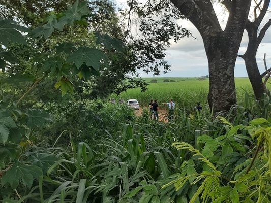 Corpos estavam em carro em canavial 