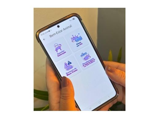 Prefeitura abre agendamento de castração de animais