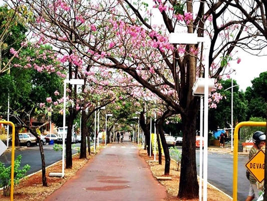 Centro de Ilha Solteira 