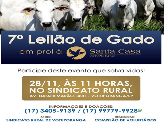 Está chegando o 7º Leilão em prol da Santa Casa
