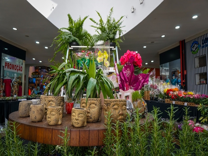 Exposição de plantas em Rio Preto