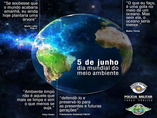 O MEIO AMBIENTE precisa da sua ajuda