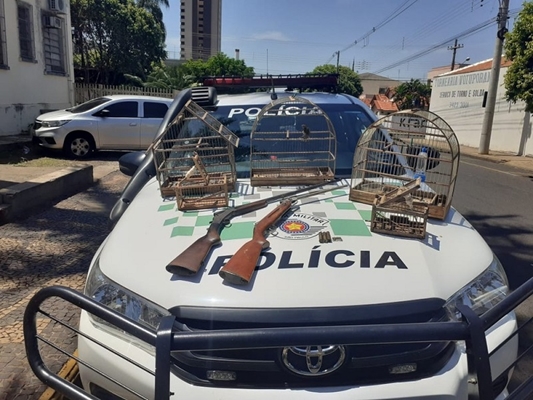 Homem é preso com pássaro silvestre e armas 