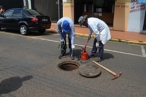 SAEV FAZ CONTROLE DE PRAGAS NAS RUAS 