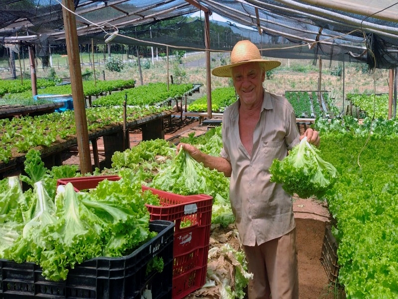 Verduras para a Santa Casa