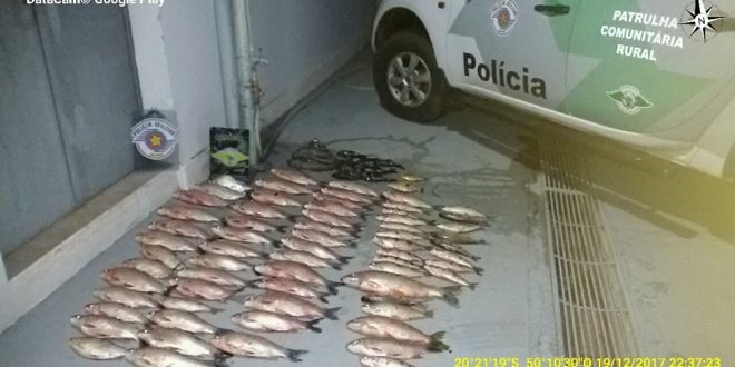 AMBIENTAL APREENDE 70 KG DE PEIXES 
