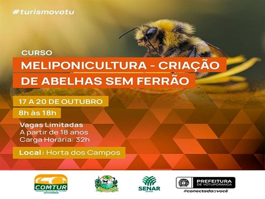 Votuporanga traz curso de criação de abelhas sem ferrão